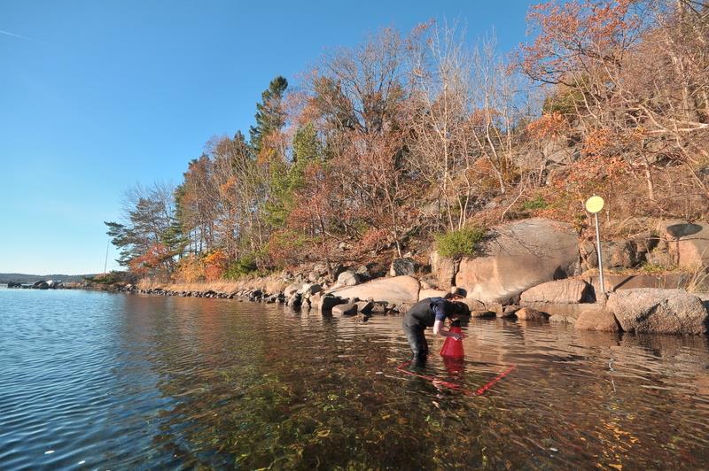 Foto: Statens naturoppsyn ved Haakon Braathu Haaverstad 2.3.