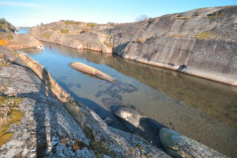 Figur 21. Indre Røssesund. Foto: Statens naturoppsyn ved Haakon Braathu Haaverstad 2.4.2 Metodebeskrivelse Stasjonen ble besøkt 2.