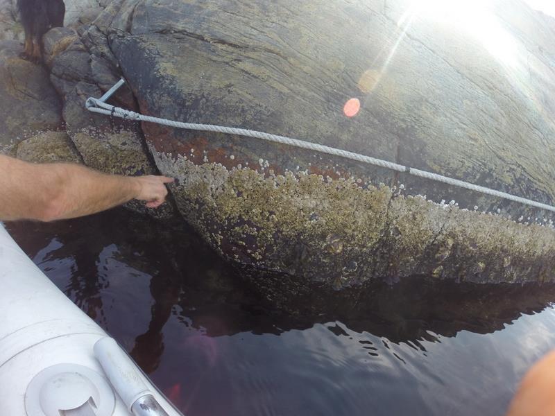 Stasjonen ligger i Raet landskapsvernområde. Figur 5. Stasjonen sett mot sør fra Kaninholmen. Foto: Statens naturoppsyn ved Haakon Braathu Haaverstad 2.1.2 Metodebeskrivelse Stasjonen ble besøkt 9.