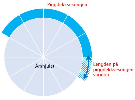 Sjåførens plikter Sjåføren plikter å sørge for å ha tilstrekkelig veggrep uavhengig av piggdekksesongen.