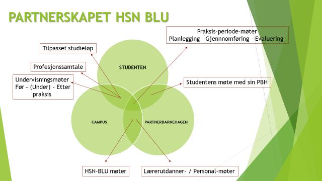 USN BLU MØTESTRUKTUR MØTETEKSTUR Profesjonsmappe