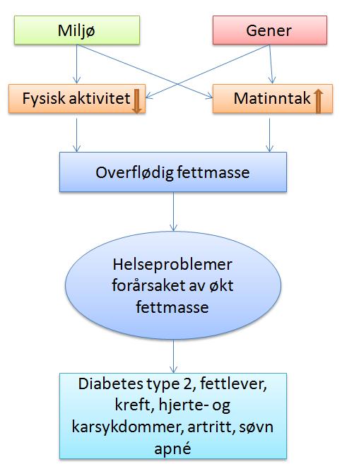 Mange personer med fedme sliter med ulike former for spiseforstyrrelser (det mest vanlige er overspisingslidelse (BED) karakterisert av episoder av overspising) og depresjon (27, 28).