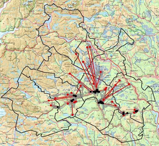 Resultater: Trekkavstand og retning Start av trekk i løpet av april, avslutning i mai 22 individer har trekt > 5 km fra merkeposisjon Okser: 6 av 10 (60 %) Kyr: 16 av 23 (70 %) Trekkdistanse Okser: