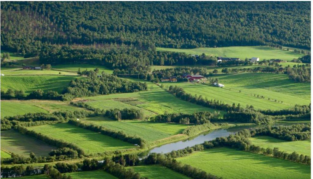 Robuste bestander og livskraftige bygder Det er et overordna miljømål at bestands- og arealforvaltningen skal være slik at villreinstammene har en stor grad av