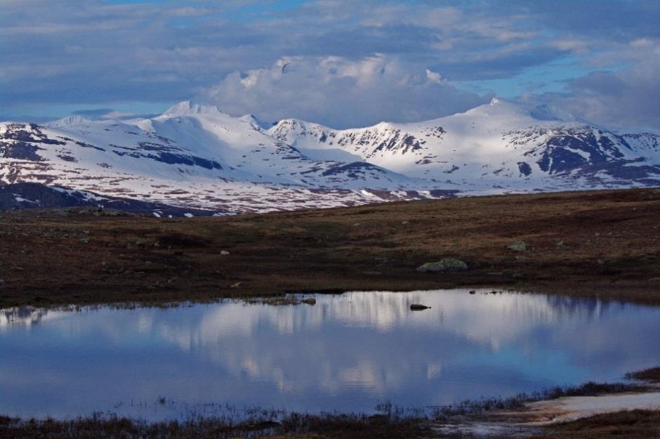 5 Diskusjon 5.1 Endringer i fuglesamfunnene siste 50 år Takseringsmaterialet vårt fra Nedalen avdekker tildels betydelige endringer i fuglesamfunnene siden sist på 1960-tallet/først på 1970-tallet.