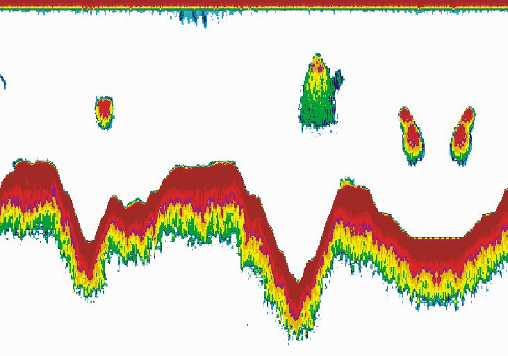 Skjermpresentasjoner Ekkolodd display PI54 tilbyr deg et nøyaktig ekkolodd med fargeskjerm. Ekkoloddet kan operere med 38, 50 eller 200 khz, og med to av disse frekvensene samtidig.