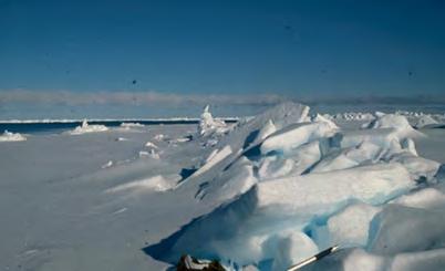 Framstredet er dominert av havis som blir eksportert fra Polhavet og driver mot sør, i tillegg til kalvet is fra breer.