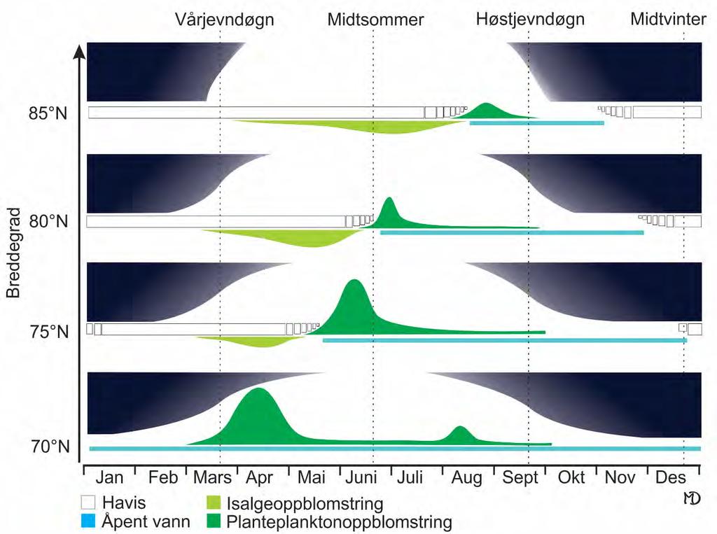 Planteplanktonoppblomstringen i iskantsonen vil følge isen ettersom den trekker seg nordover, men blir mindre tydelig med økende breddegrad (Wassmann et al. 2006; figur 4).