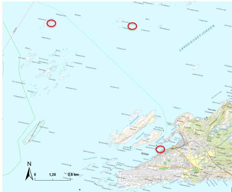 1 Innledning 1 Innledning Kystverket planlegger mudring av ca. 180 000 m 3 i forbindelse med utdyping av Bodø havn. Ca. 140 000 m 3 av disse massene er vurdert å være rene.