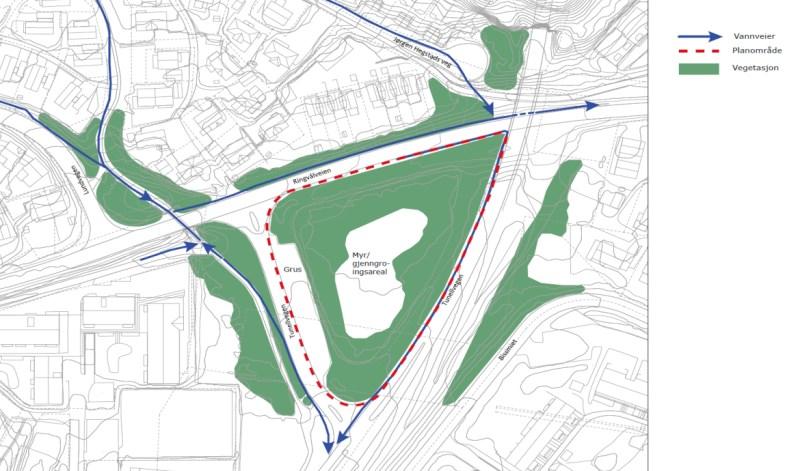 Kilde: Rambøll Norge AS Dagens arealbruk og tilstøtende arealbruk, og topografi Planområdet er i dag et grønt område med myr og gjengroingsareal. Vegetasjonen domineres av ung løvskog og kratt.