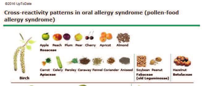 til å binde til et liknende allergen -