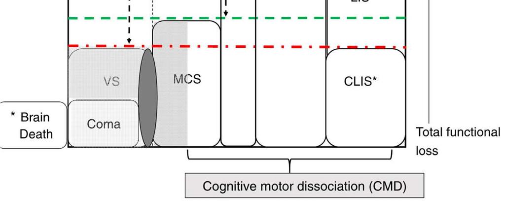 The state of Cognitive motor dissociation -skjult kognitiv kapasitet?