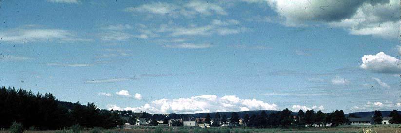 Figur 4.1 Isakbekken 1968, sett mot nord.