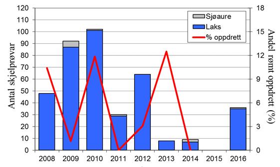 Variasjonen i både laks- og sjøaurefangstane i Sokna har vore svært lik det ein har sett i resten av fylket (figur 1, linje), men laksefangstane i 2015 og 2016 var relativt høge, og sjøaurefangstane