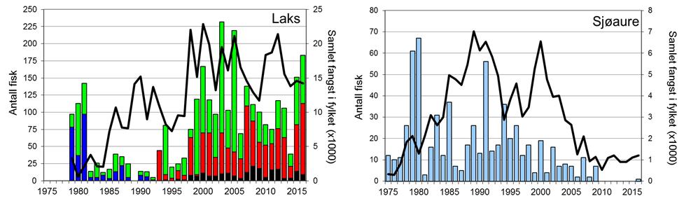 Skjel 2016 Fangststatistikk FANGST OG SKJELPRØVAR I ULLA Gjennomsnittleg årsfangst i perioden 1975-2016 var 83 laks (snittvekt 3,5 kg) og 16 sjøaure (snittvekt 1 kg).
