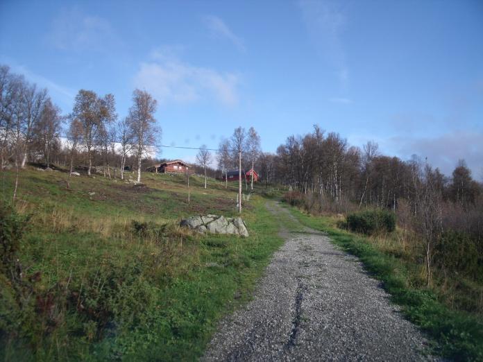 I første omgang bruker vi strømgjerder til vi finner de beste løsningene og kan sette opp mer varige gjerder rundt vollen. 2.