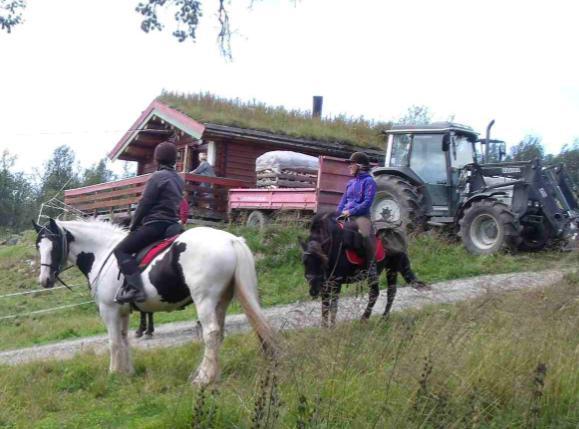 seterstua. Doen skal være tilpasset rullestolbrukere. Uthuset blir trolig frittstående heltrebygg med pulttak som heller mot bakke nordvestover.