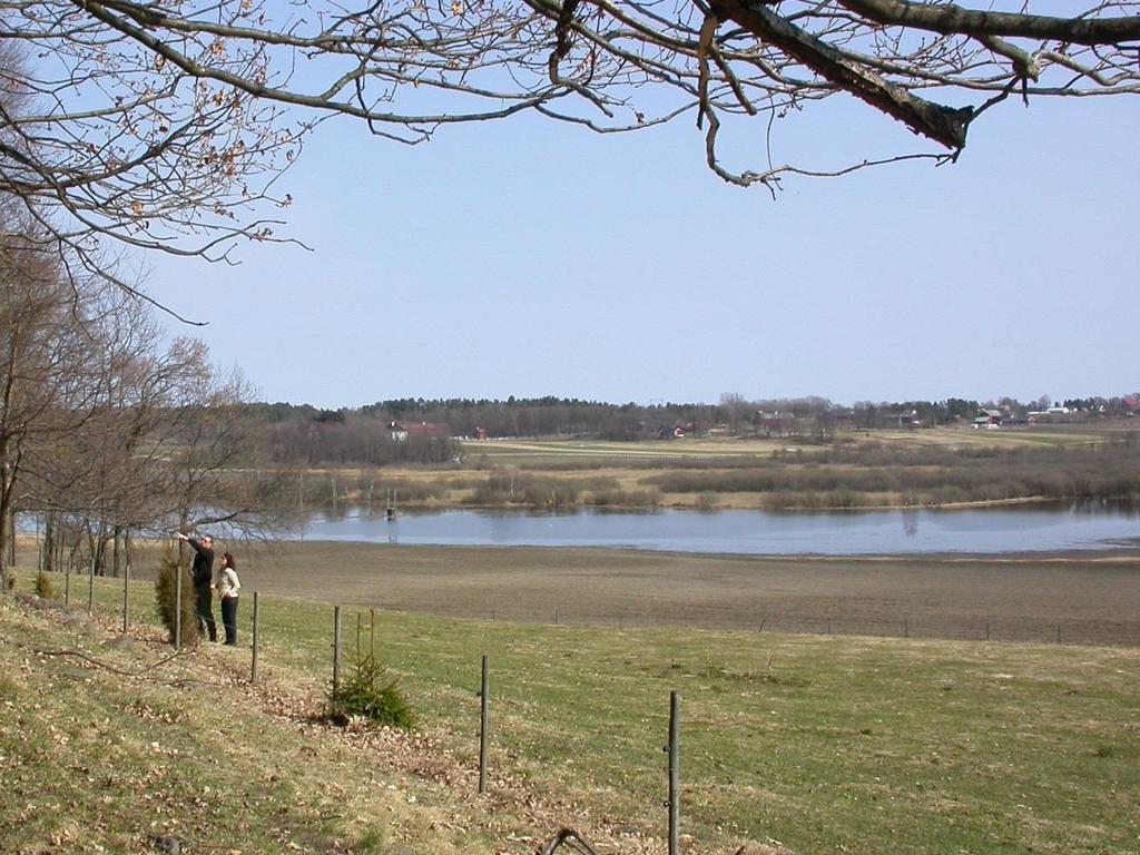 Fotos under viser i praksis hvordan flommarken ser ut, bilder fra ulike år (april mai), alle fotos er tatt mot øst, fra beitemark/skoglund like