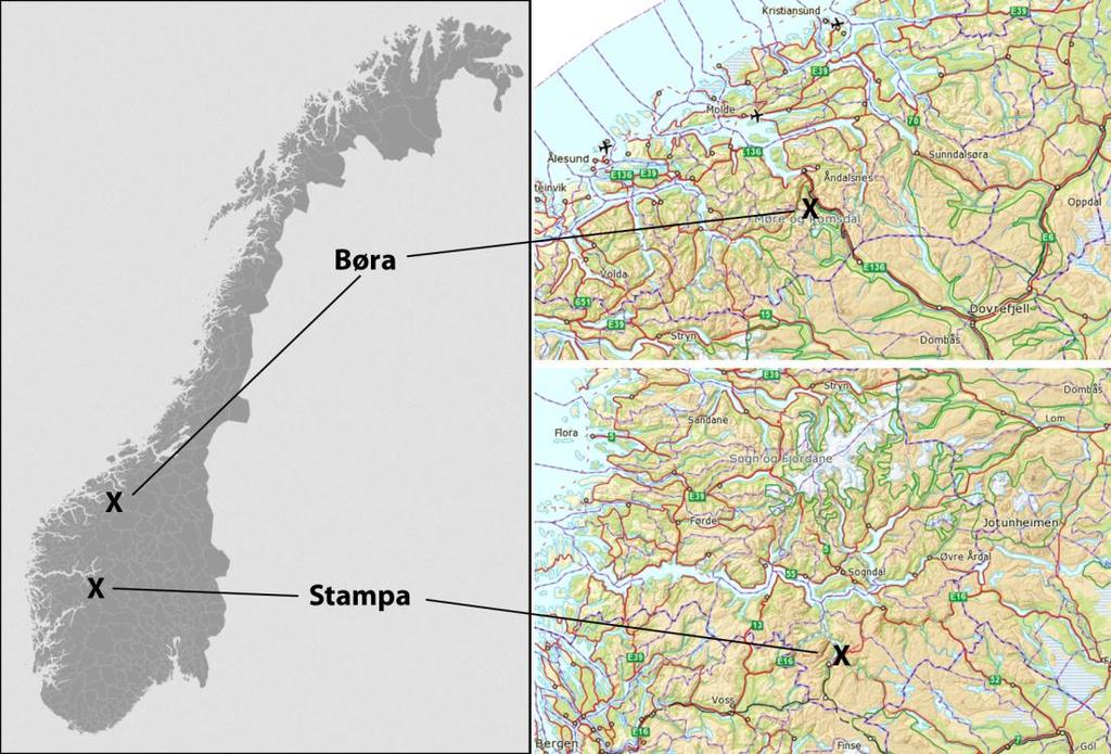 1 Innledning Børa i Romsdalen og Stampa ved Flåm er begge store deformerte fjellpartier.