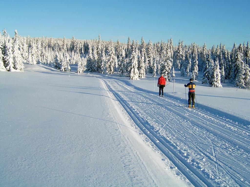 Hamar Vangsåsen når