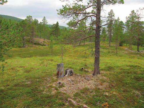 gamle læger sentralt i området.