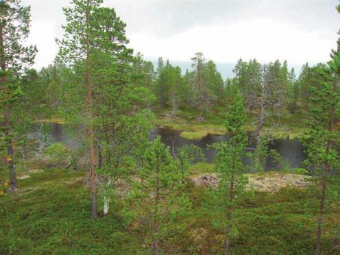 Klepsland Glissen og gjentatt