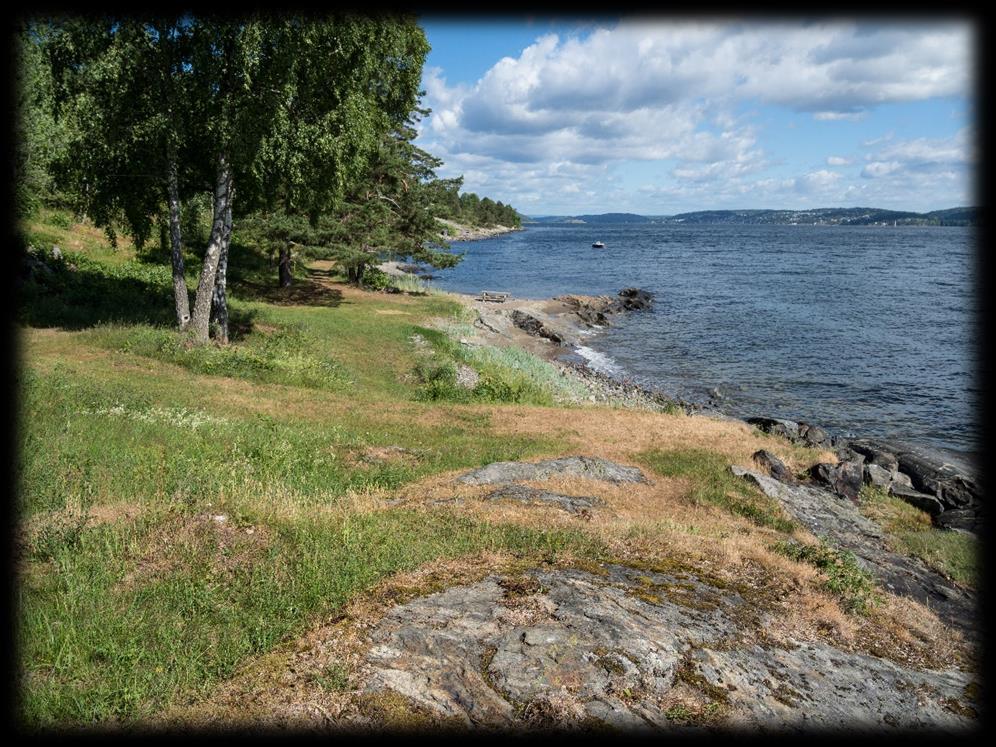 Skjøtselsinnspill for Eltornstranda, Hurum