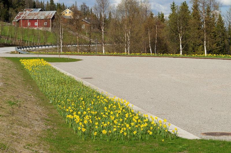 innsamlingsreglene for Blomsterbeplanininger. Dette må kommenteres under tilleggsinformasjon.