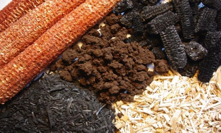 chemical and thermal decomposition Simple indicators can successfully be used to predict biochar