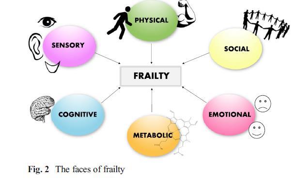 Frailty er et hovedkjennetegn ved en geriatrisk pasient Frailty omfatter forhold som redusert selvstendighet i aktiviteter i dagliglivet, kognitive vansker, underernæring,