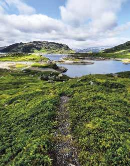 Kombinasjonen av et aktivt friluftsliv og sunn mat er et godt grunnlag for god helse.