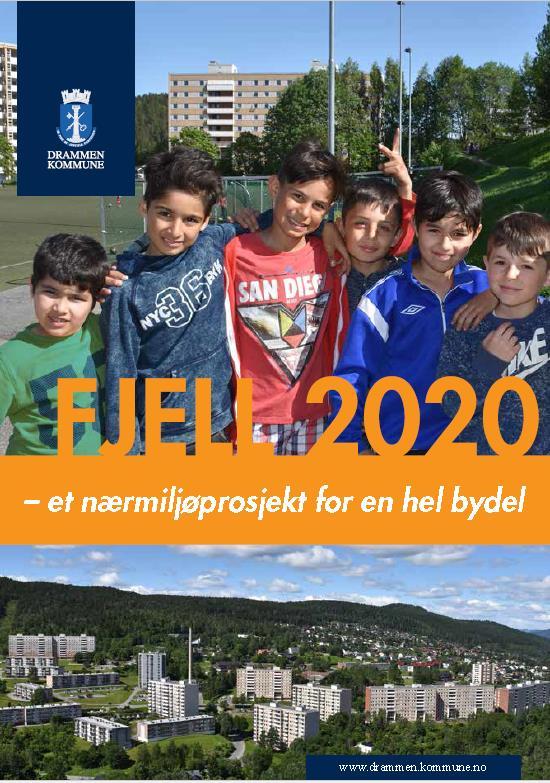 Områdesatsing Fjell 2020: Mot en bedre fremtid Et bidrag til bedre