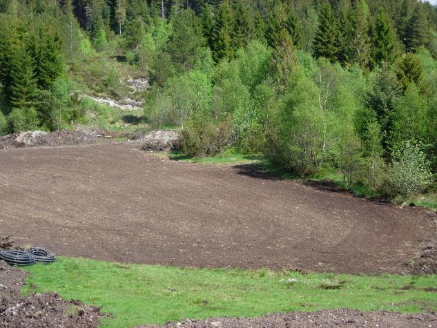 Masseforflytning Randsoner Vassdrag Vegkantar Foto Øyvind Vatshelle I Naturmangfoldlova,