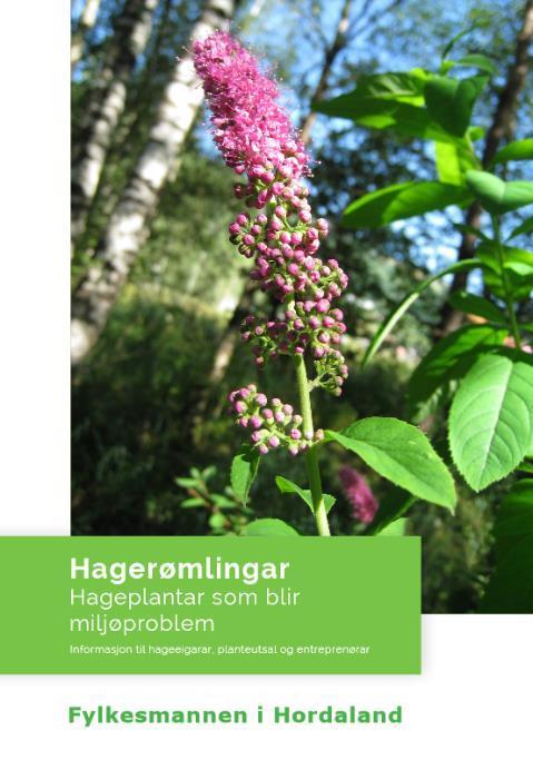 Fagus Forskrift