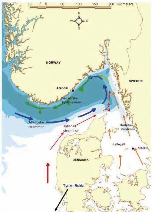 1.2 Fysiske forhold i Kyststrømmen og kystvannet
