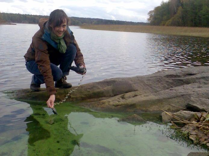 cyanobakterier Morsa er valgt som pilot område for