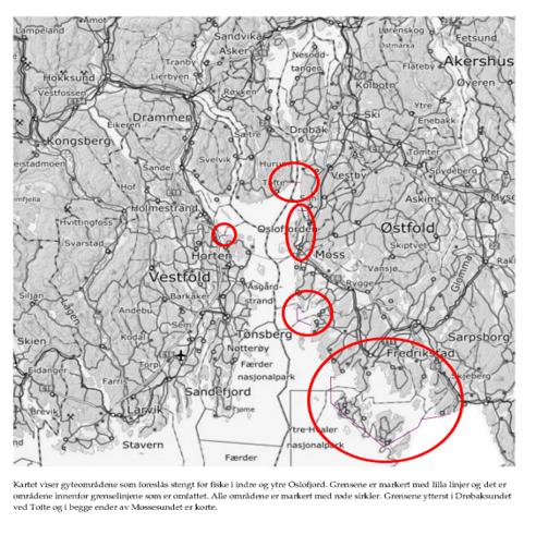 Prosjekt krafttak for kysttorsken har startet et omfattende prøvefiske i Ytre Oslofjord, som vil fortsette i årene framover.