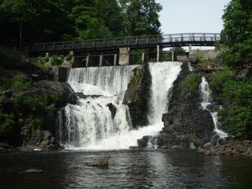 Elvemusling i Sandvikselva