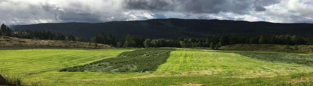 Gris Vi har tatt tabellen fra det nasjonale prosjektet og satt inn middelverdier fra Buskerud For gris har de gruppert etter tørrstoffinnhold fordi det i det nasjonale prosjektet ikke ble funnet