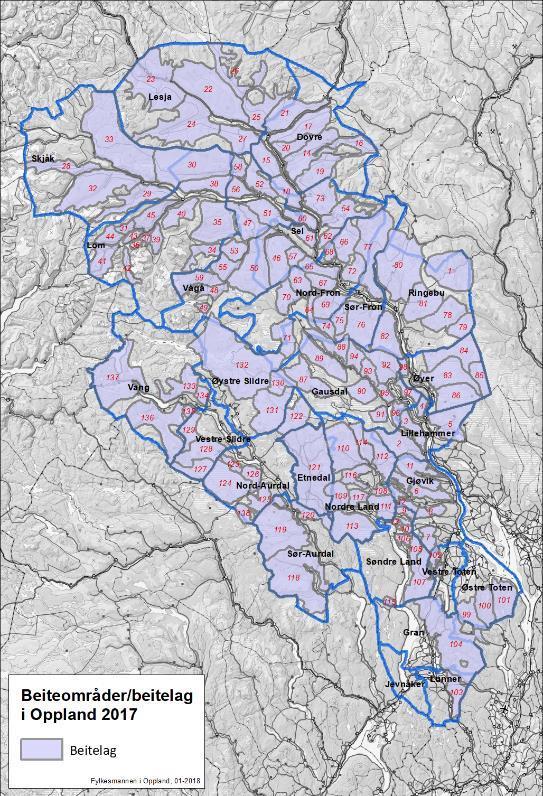 Hedmark og Oppland har stor husdyrproduksjon.