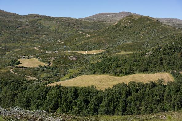 Noen refleksjoner rundt landbruk og beitebruk Landbruket i innlandet vi høster fra åker, eng og