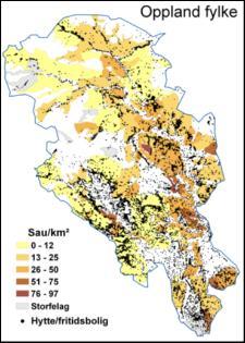 Ringebu GPS-plott av sau i juli (over) og august (under) (Michael Angeloff, NIBIO) Utfordringer