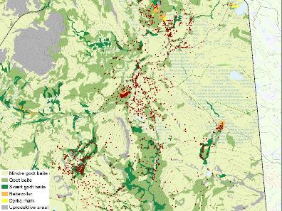 God beiteverdi = stort gjengroingspotensial Kulturbetinget biologisk mangfold Landskapsbilde,