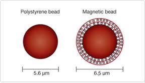 Immuno-Assay) Bead-technology Flowimmunoassay Prøvemateriale: Plasma, serum, CSF, supernatanter, lysater, andre biologiske prøver (DNA).