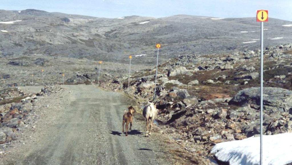 Friluftsliv og reiseliv Hammerfest vindpark Friluftsliv Friluftsliv i Finnmark Fylket har en variert og storslagen natur, fra et steilt og barskt kystlandskap til rolige, milelange vidder.