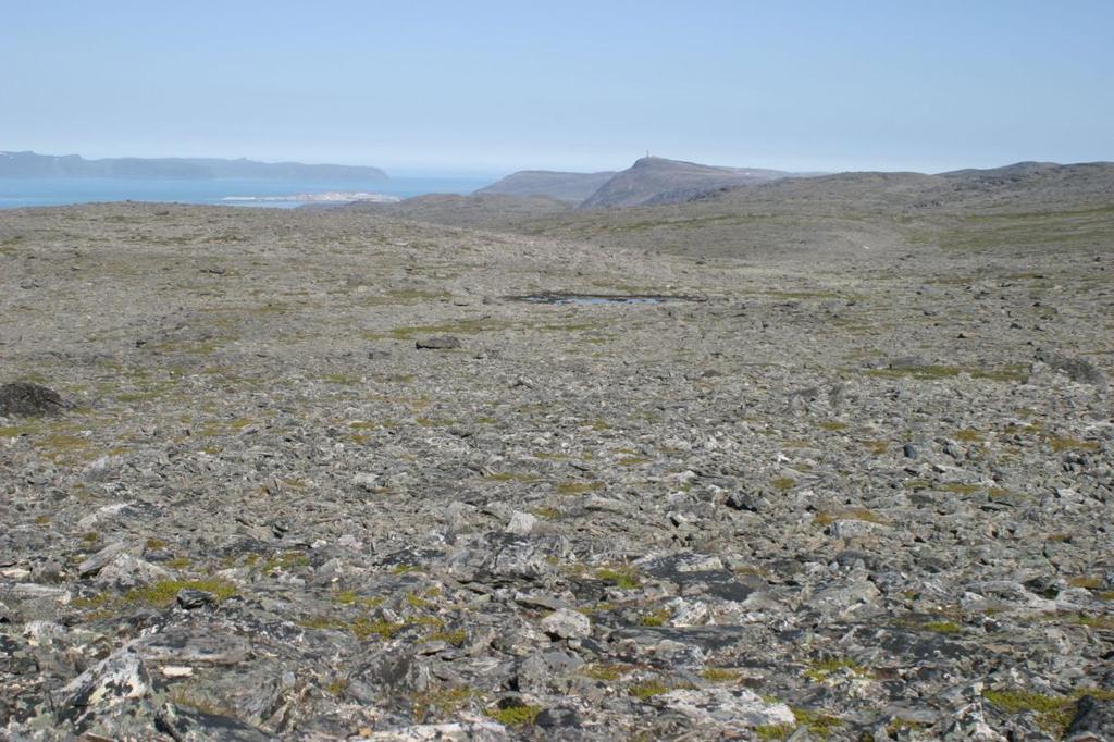 Naturmiljø biologisk mangfold INNLEDNING Statkraft Development AS ønsker å vurdere konsekvenser av et vindkraftanlegg i Tyven-området, sørøst for Hammerfest, Hammerfest kommune, se Figur 4.1.