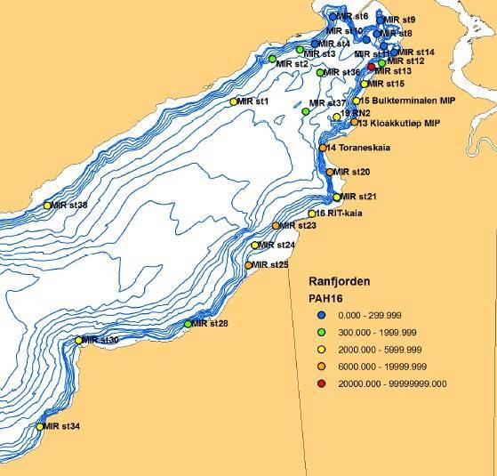 Figur 2 Kart over indre Ranfjorden med tilstandsklasser for PAH-16 i sediment (Niva 2013) Blåskjell Generelt er det lave konsentrasjoner av miljøgifter i blåskjellene (Tabell 2 og 3).