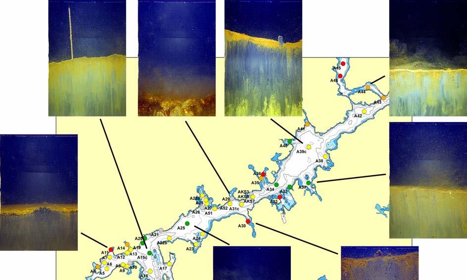 Tromøysund Det var store variasjoner i bunnmiljøet i Tromøysund og Arendal byområde. I Figur 37 er det vist et utvalg SPI-bilder og tilstandsklasser for alle stasjoner i henhold til BHQindeksen.