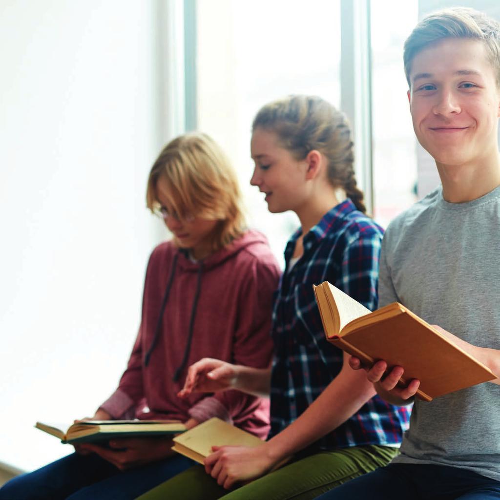 Begrepet skole og lærebedrift rommer både de offentlige videregående skolene i Troms, Fylkesutdannings sjefen i Troms, opplæringskontorene, opplærings ringene og den enkelte lærebedrift.