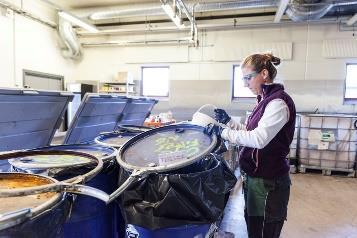 underholdende entusiasme opplyst av TV-kameraenes og medias spotlights Plast i havet er alvorlig problem Men avfall